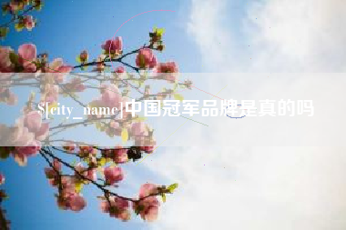 阳江中国冠军品牌是真的吗
