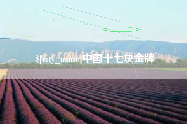 阳江中国十七块金牌
