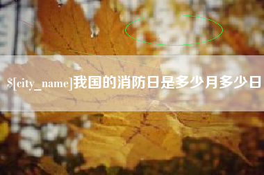 阳江我国的消防日是多少月多少日