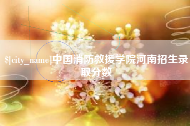 阳江中国消防救援学院河南招生录取分数