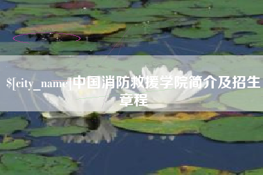 阳江中国消防救援学院简介及招生章程