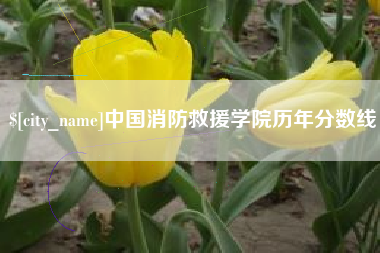 阳江中国消防救援学院历年分数线