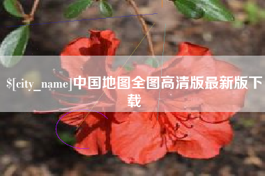 阳江中国地图全图高清版最新版下载