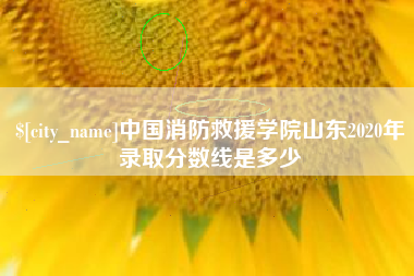 阳江中国消防救援学院山东2020年录取分数线是多少