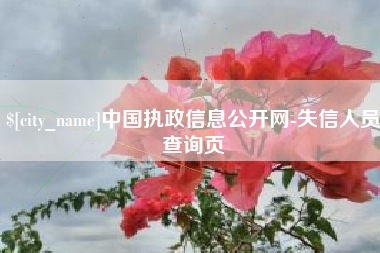 阳江中国执政信息公开网-失信人员查询页