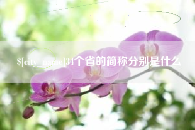 阳江34个省的简称分别是什么