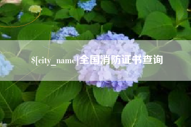阳江全国消防证书查询