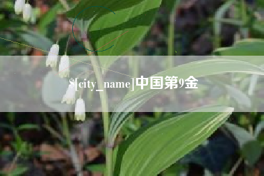 阳江中国第9金