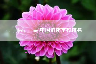 阳江中国消防学校排名