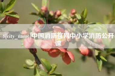 阳江中国消防官网中小学消防公开课