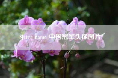 阳江中国冠军头像图片