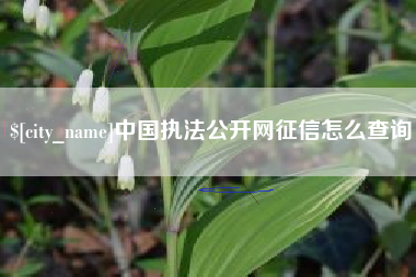 阳江中国执法公开网征信怎么查询