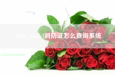 阳江消防证怎么查询系统
