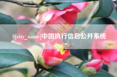 阳江中国执行信息公开系统