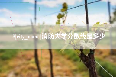 阳江消防大学分数线是多少