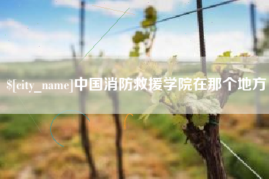 阳江中国消防救援学院在那个地方