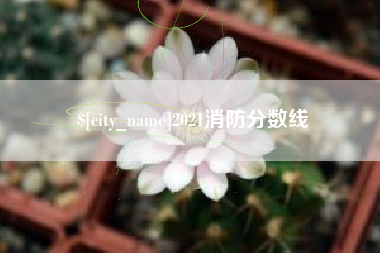 阳江2021消防分数线