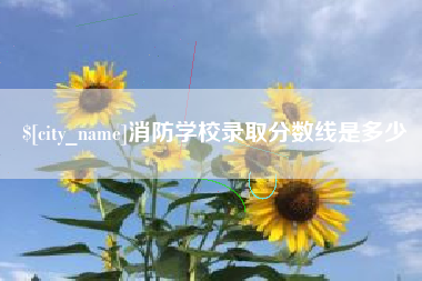 阳江消防学校录取分数线是多少