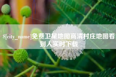 阳江免费卫星地图高清村庄地图看到人实时下载