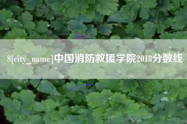 阳江中国消防救援学院2018分数线