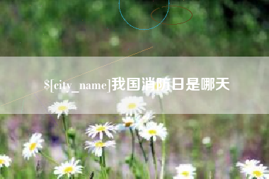 阳江我国消防日是哪天