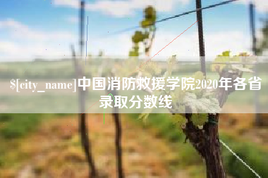 阳江中国消防救援学院2020年各省录取分数线