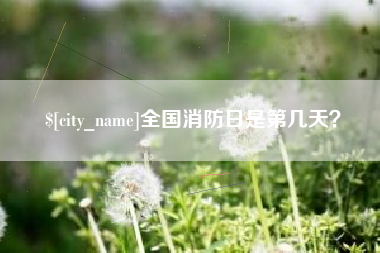 阳江全国消防日是第几天？
