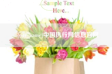 阳江中国执行网信息官网