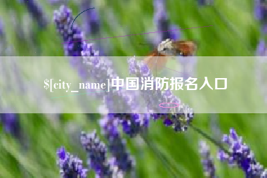 阳江中国消防报名入口