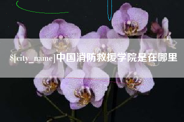 阳江中国消防救援学院是在哪里