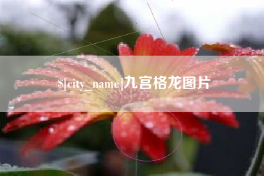 阳江九宫格龙图片