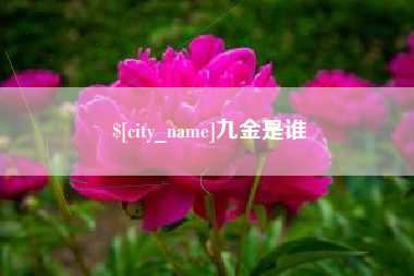 阳江九金是谁