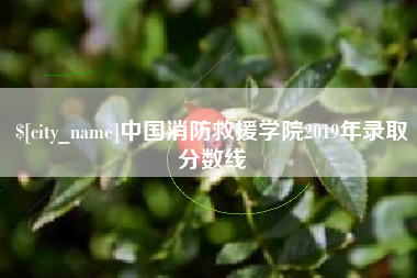 阳江中国消防救援学院2019年录取分数线
