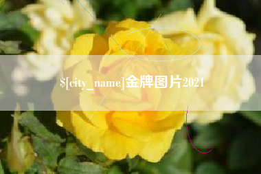 阳江金牌图片2021