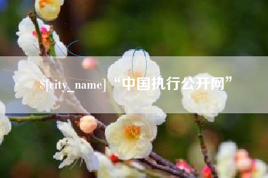 阳江“中国执行公开网”