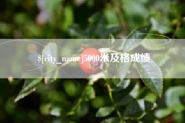 阳江5000米及格成绩