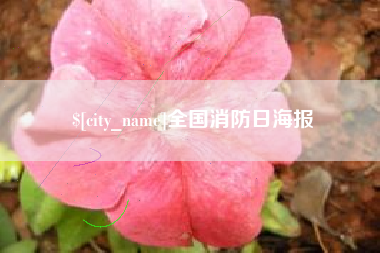 阳江全国消防日海报