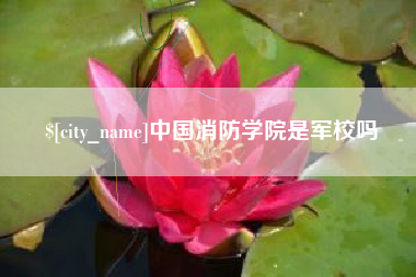 阳江中国消防学院是军校吗