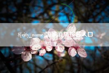 阳江国家消防报名入口