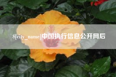 阳江中国执行信息公开网后