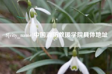 阳江中国消防救援学院具体地址