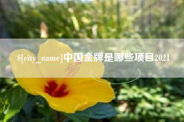 阳江中国金牌是哪些项目2021