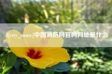 阳江中国消防网官网网址是什么