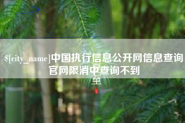 阳江中国执行信息公开网信息查询官网限消中查询不到