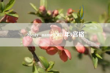 阳江2021年9宫格