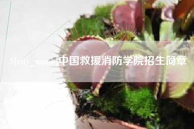 阳江中国救援消防学院招生简章