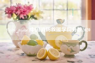 阳江中国消防救援学院分数2020