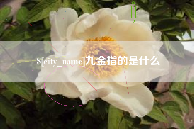 阳江九金指的是什么