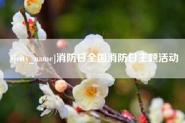 阳江消防日全国消防日主题活动