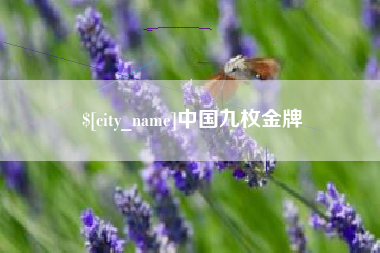 阳江中国九枚金牌